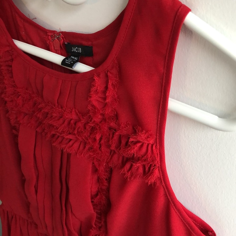 Jacob Rouge Dress - Picture 5 of 6